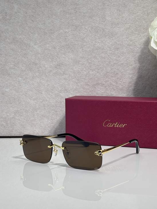 Picture of Cartier Sunglasses _SKUfw79759923fw